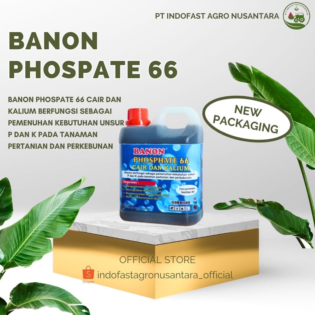 iklan 2