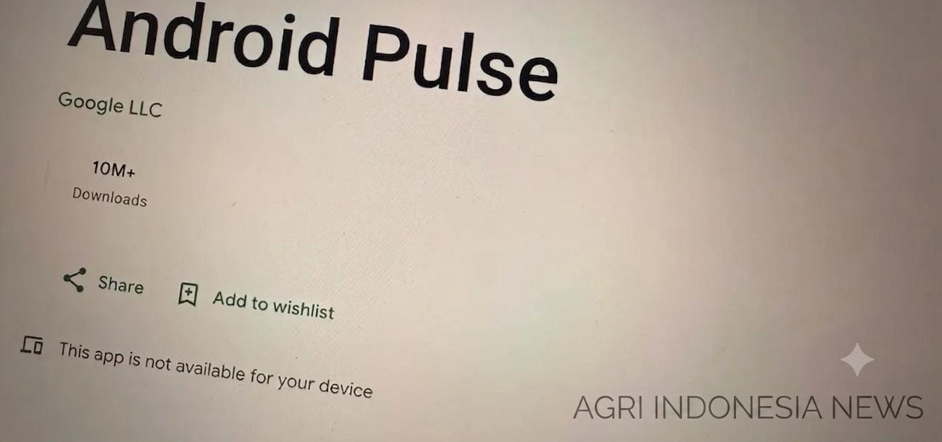 Android Pulse Muncul di Google Play Store, Google Ungkap Fungsi dan Keamanannya