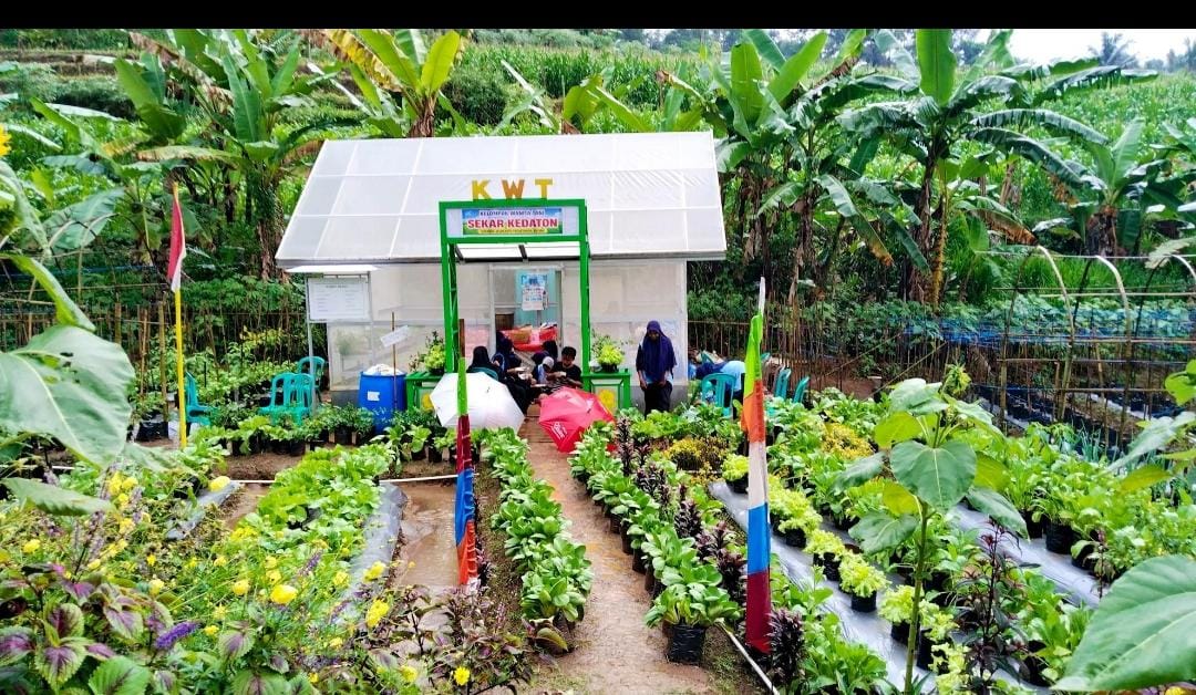 Kerja Nyata, KKN UGM Petakan Potensi Desa Dawung sebagai Tujuan Wisata Agroedukasi