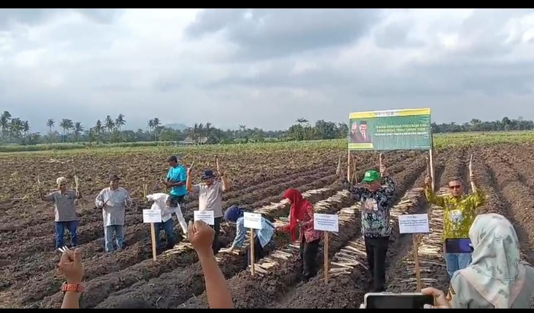 Koperasi Bintang Sembilan Jalankan Program Tanam Tebu Kementan