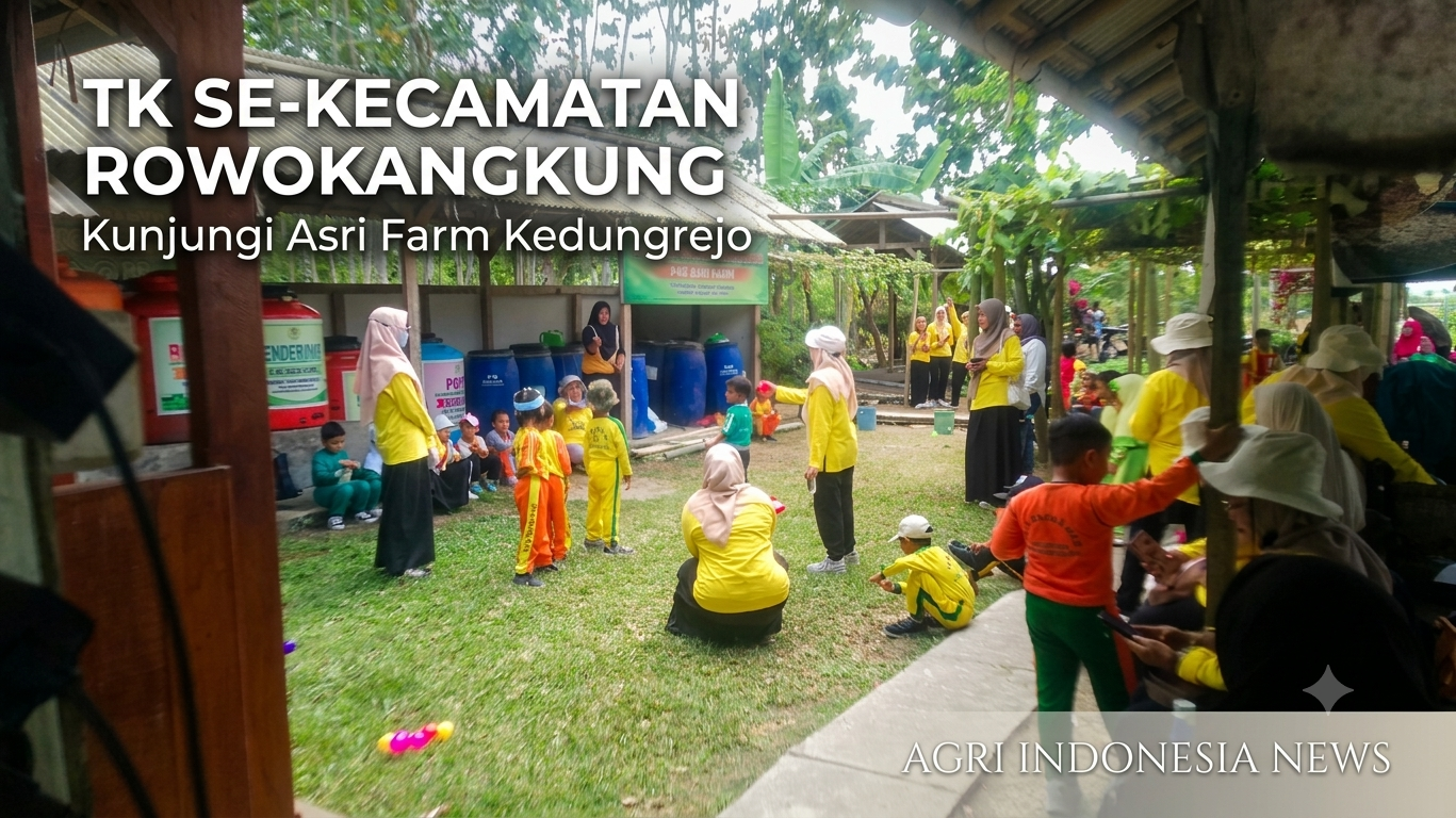 Giat TK Se-Kecamatan Rowokangkung Kunjungi Asri Farm Kedungrejo