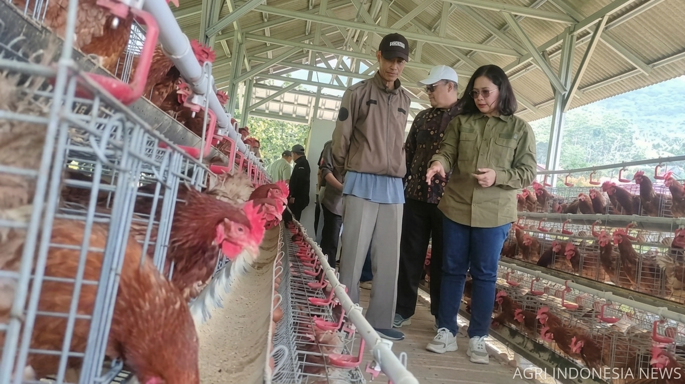 Reforma Agraria Batulawang Cianjur: Kepastian Lahan Didorong Menjadi Penggerak Ekonomi dan Kesejahteraan Warga