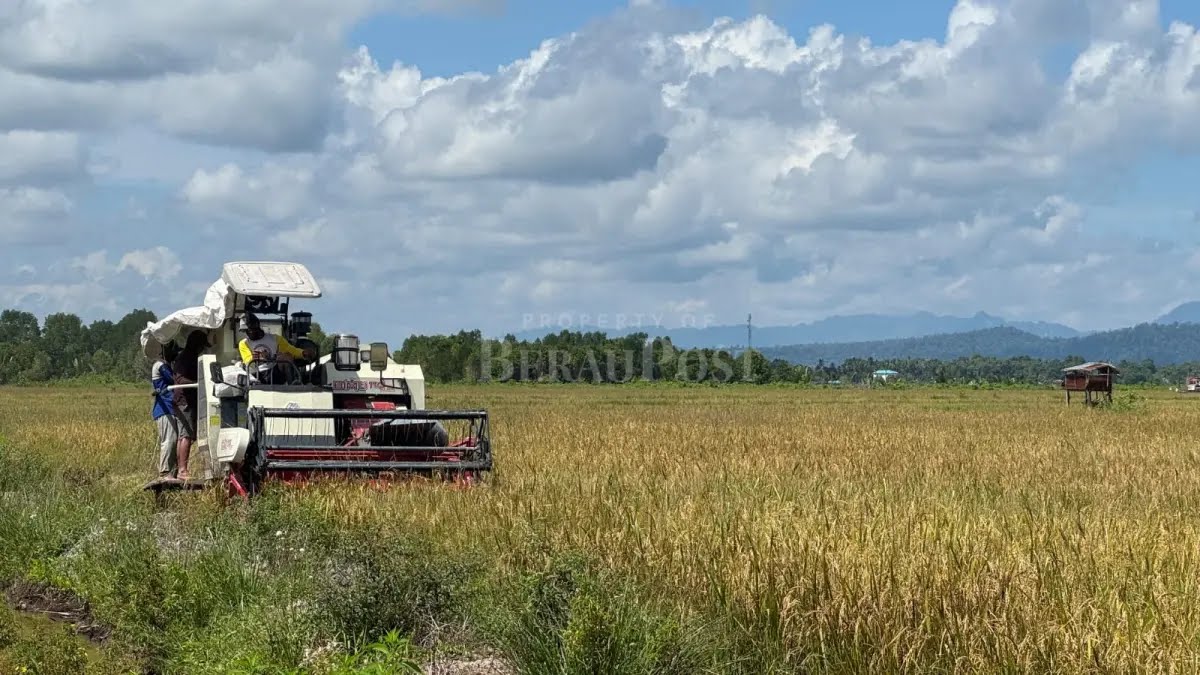 Berau Perlu Mengubah Cara Pandang terhadap Pertanian, dari Pekerjaan Tradisional Menjadi Kekuatan Ekonomi Daerah