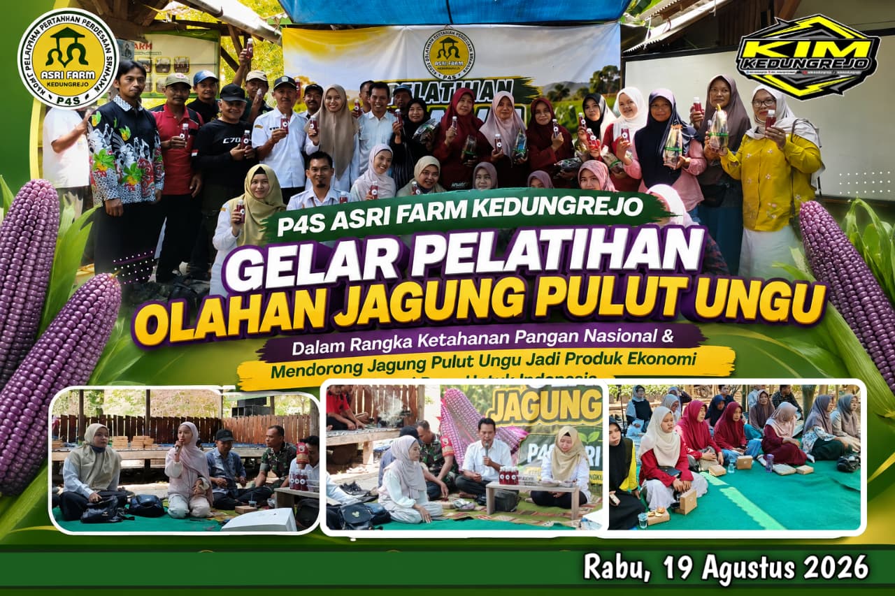 Pelatihan dan Pameran Jagung Pulut Ungu Hadirkan Ribuan Warga di Momen HUT RI ke-81